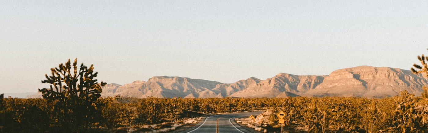 Open road stretching through America — find your perfect RV park